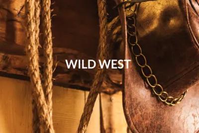 Wild West poster1