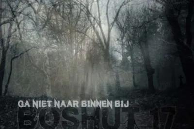 Boshut 17 poster1