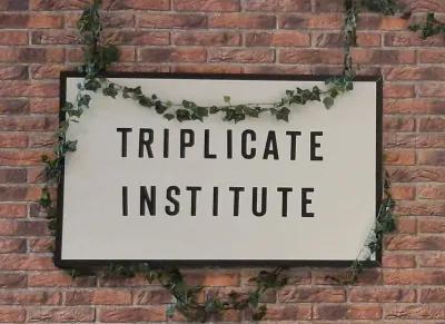 Triplicante Institute poster1