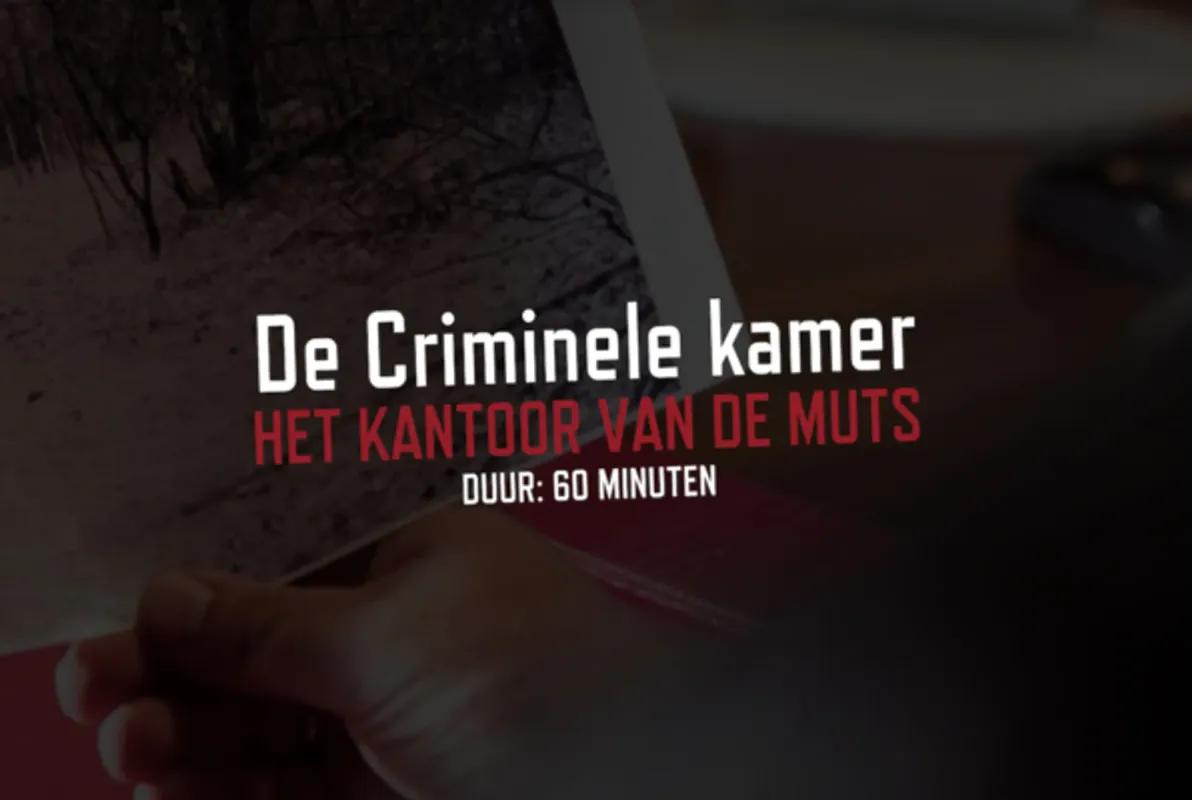 The Criminal Chamber