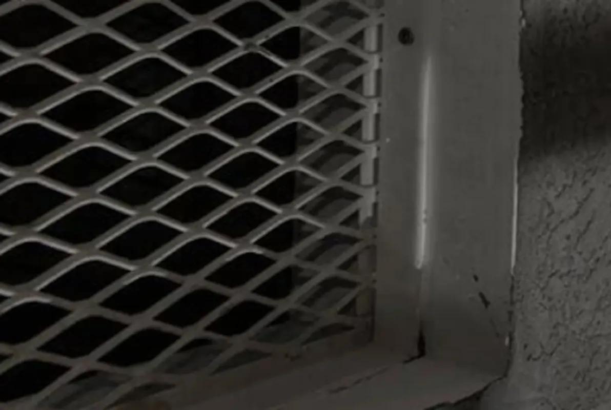 Life sentence